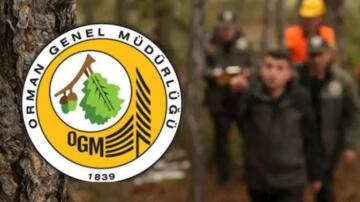 Orman Genel Müdürlüğü (OGM) 340 İşçi Alımı Yapıyor
